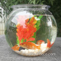 Goldfish Bowl Desktop Transparent Plastic Aquarium Round